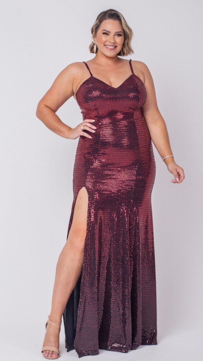 Vestido Plus Size Modelo Nalva - Cecilia Dresses